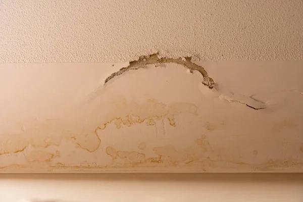Professional Water Damage Restoration to Restore Your Space
