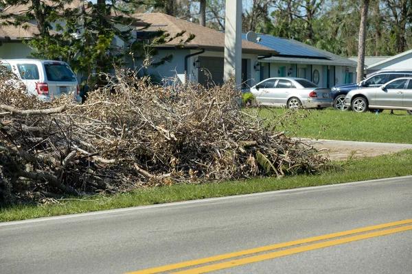 Certified arborist Services for Healthy & Beautiful Trees
