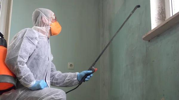 Trusted Henrico Mold Remediation Service for Safe and Healthy Homes