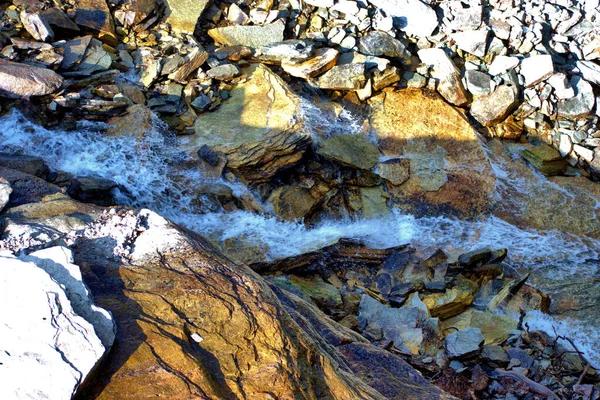 Water Leaks Severna Park Repair Tips That Can Save You Money