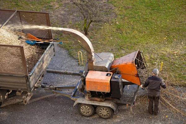 Discover The Tree Guys Services in Jackson MI for All Your Tree Care Needs