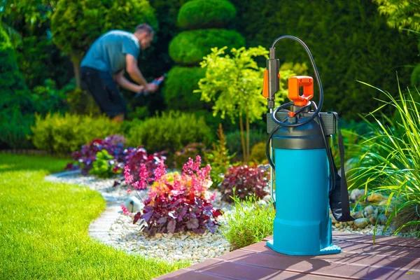 Professional Pest Control Near Me for Reliable Protection