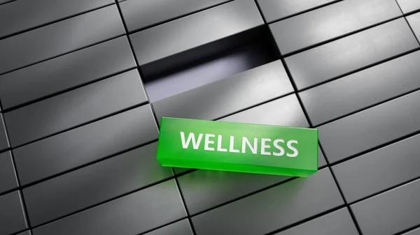 Understanding the Growing Interest in Sleep Support for Daily Wellness