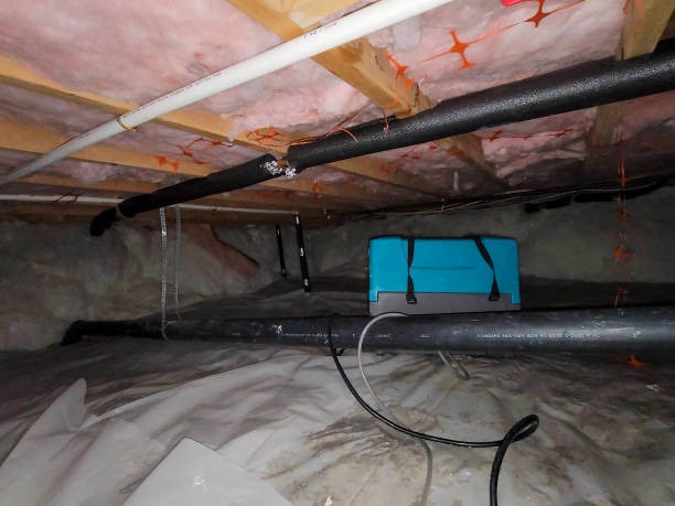 Why Hire a Professional Insulation Company in Prince George