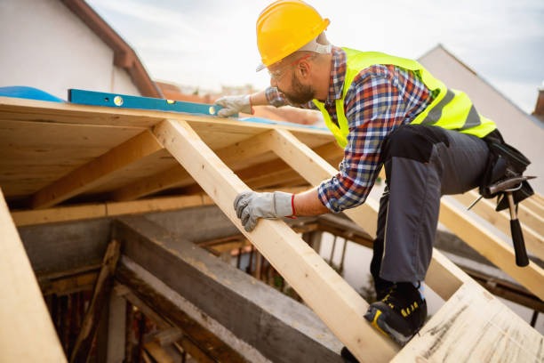 Professional Roofing Contractor Support for Roof Inspections and Maintenance